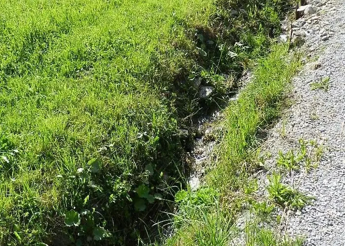 Lejlighed Majelas Heiti By Interhome Gsteig